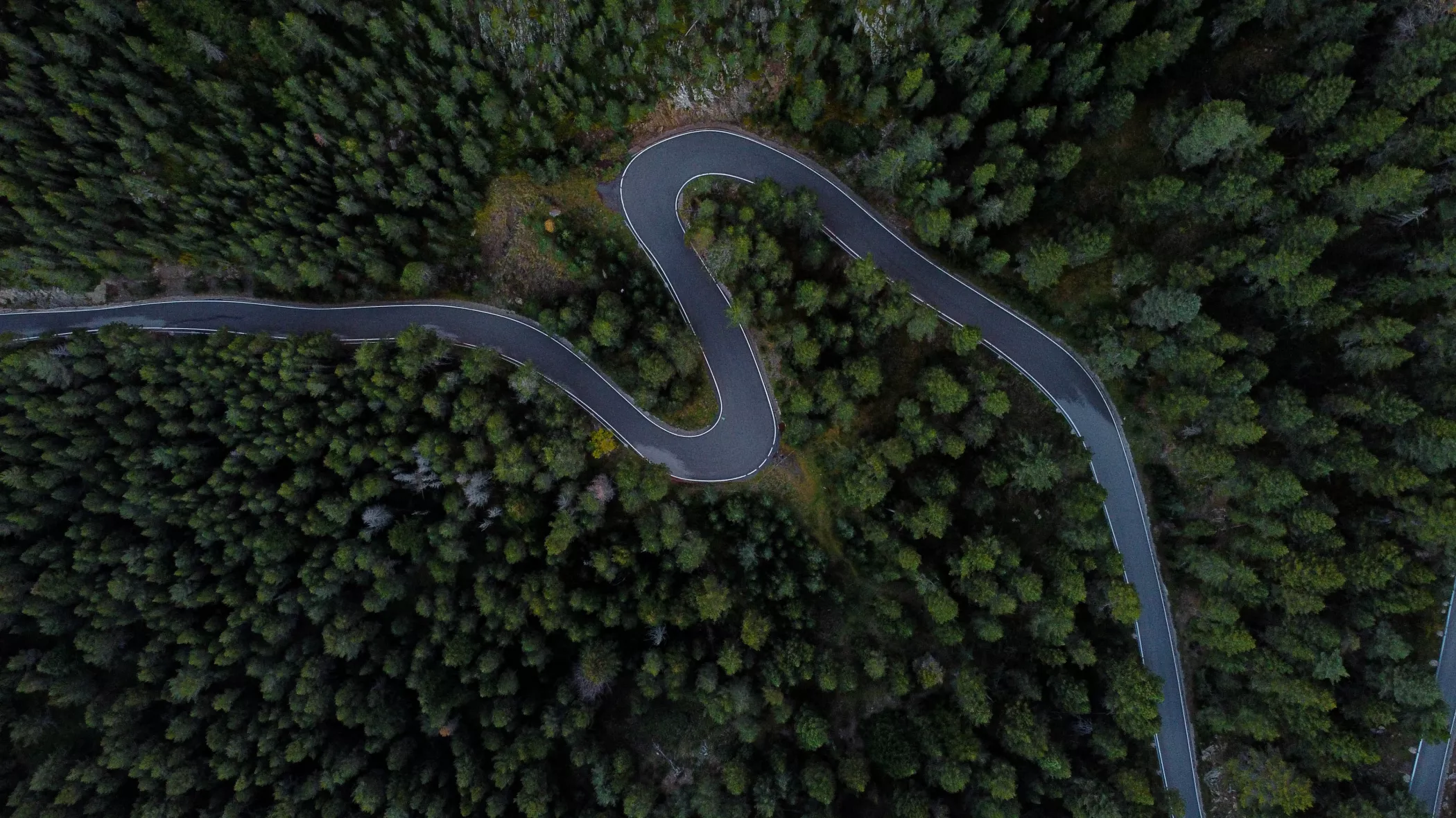 Eine kurvenreiche Straße schlängelt sich durch einen dichten, grünen Wald am Gipfel.