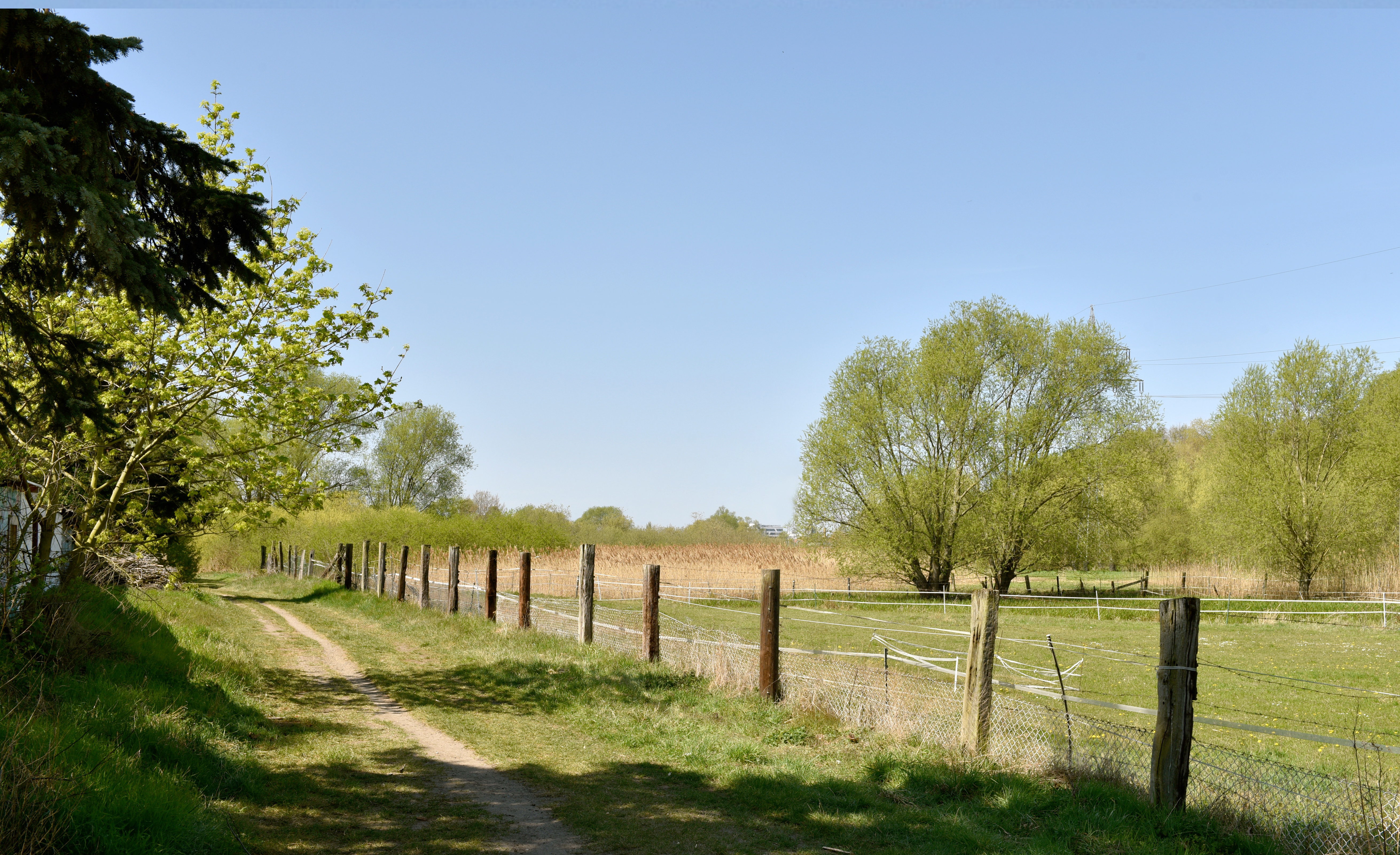 Ein unbefestigter Weg führt an einer mit Bäumen eingezäunten Wiese entlang, und an einem sonnigen Tag ist der Himmel blau.