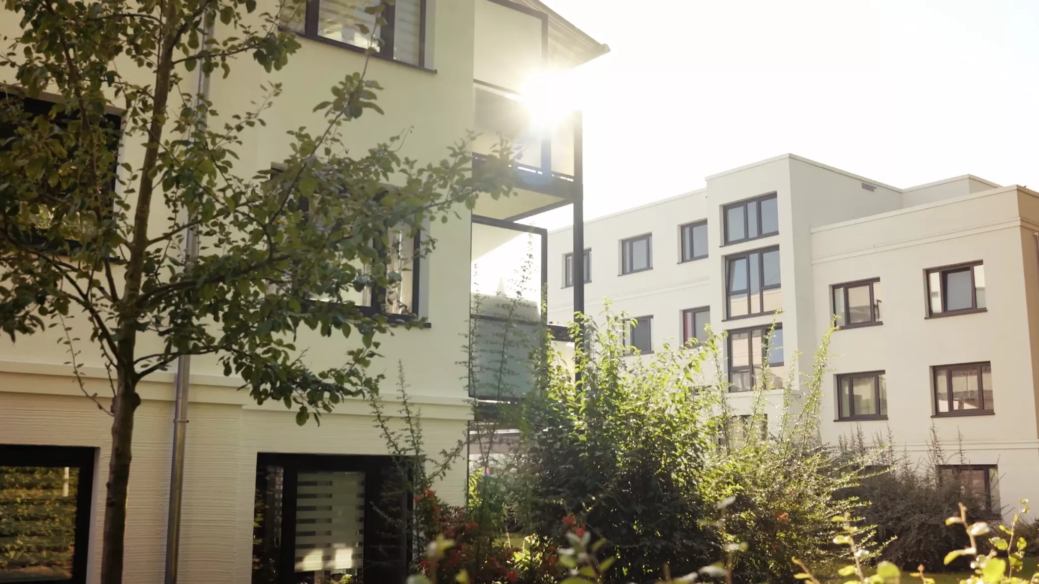 Moderne Wohngebäude mit großen Fenstern, umgeben von Bäumen und Grünflächen, durch deren Blätter das Sonnenlicht scheint.