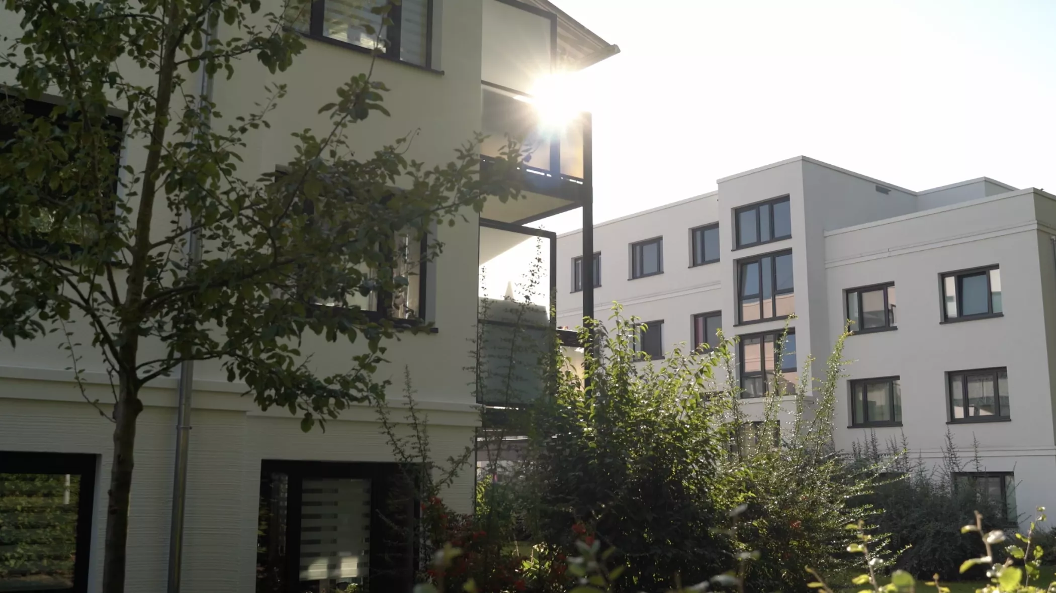 La lumière du soleil passe entre les immeubles résidentiels modernes aux grandes fenêtres, entourés d'arbres et d'arbustes verts.