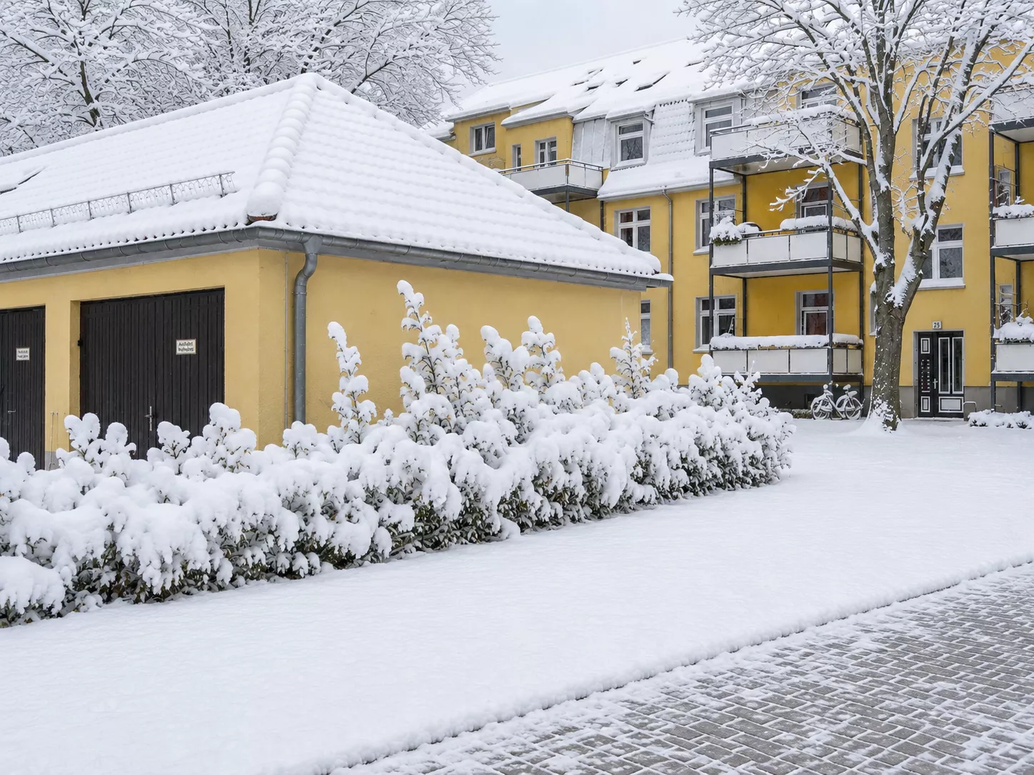 Mit Schnee bedeckte Sträucher, der Boden und die Dächer von Gebäuden vor gelben Gebäuden an einem Wintertag.