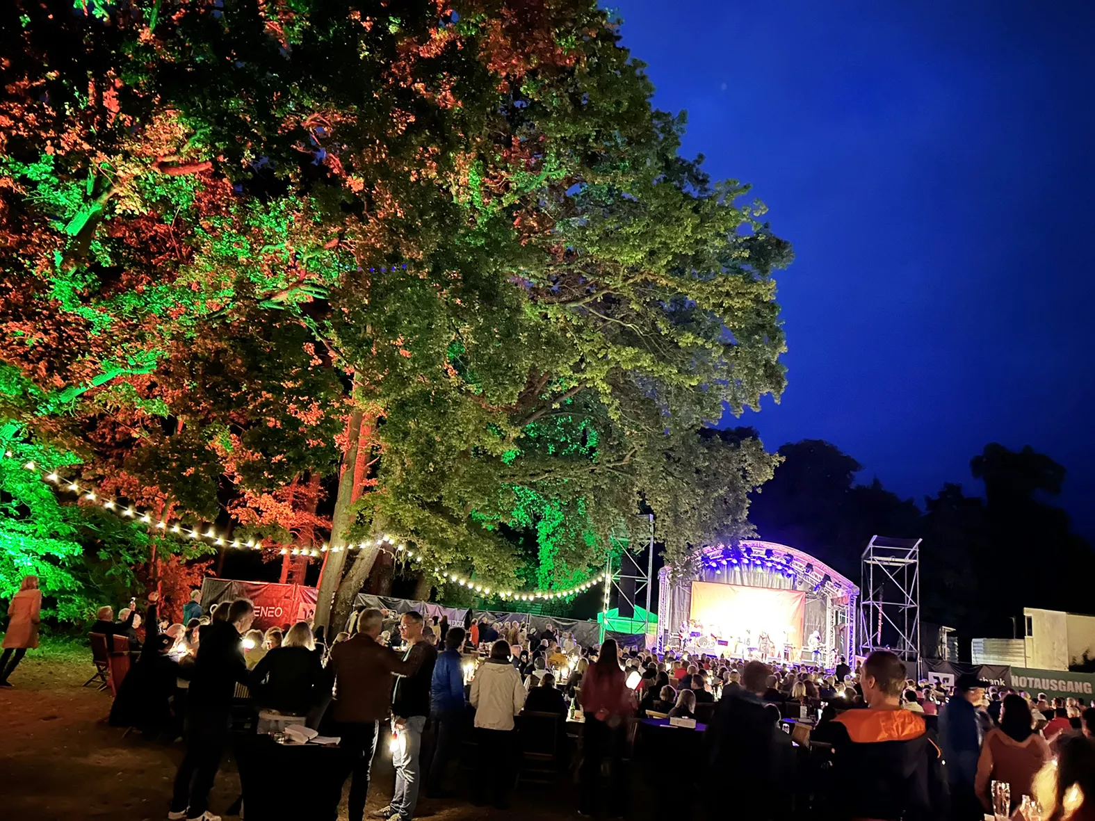 Ein nächtliches Open-Air-Konzert mit einer beleuchteten Bühne, bunten Bäumen, Lichterketten und einer Menschenmenge, die das Ereignis genießt.