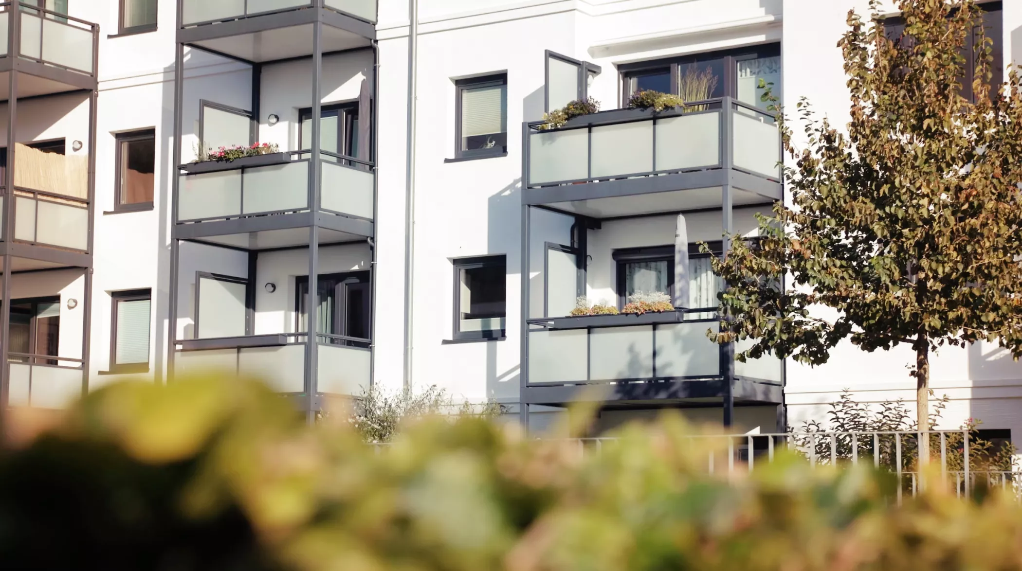 Ein modernes Wohngebäude mit mehreren Balkonen, Glasbalustraden und einigen Grünflächen auf der Vorderseite.