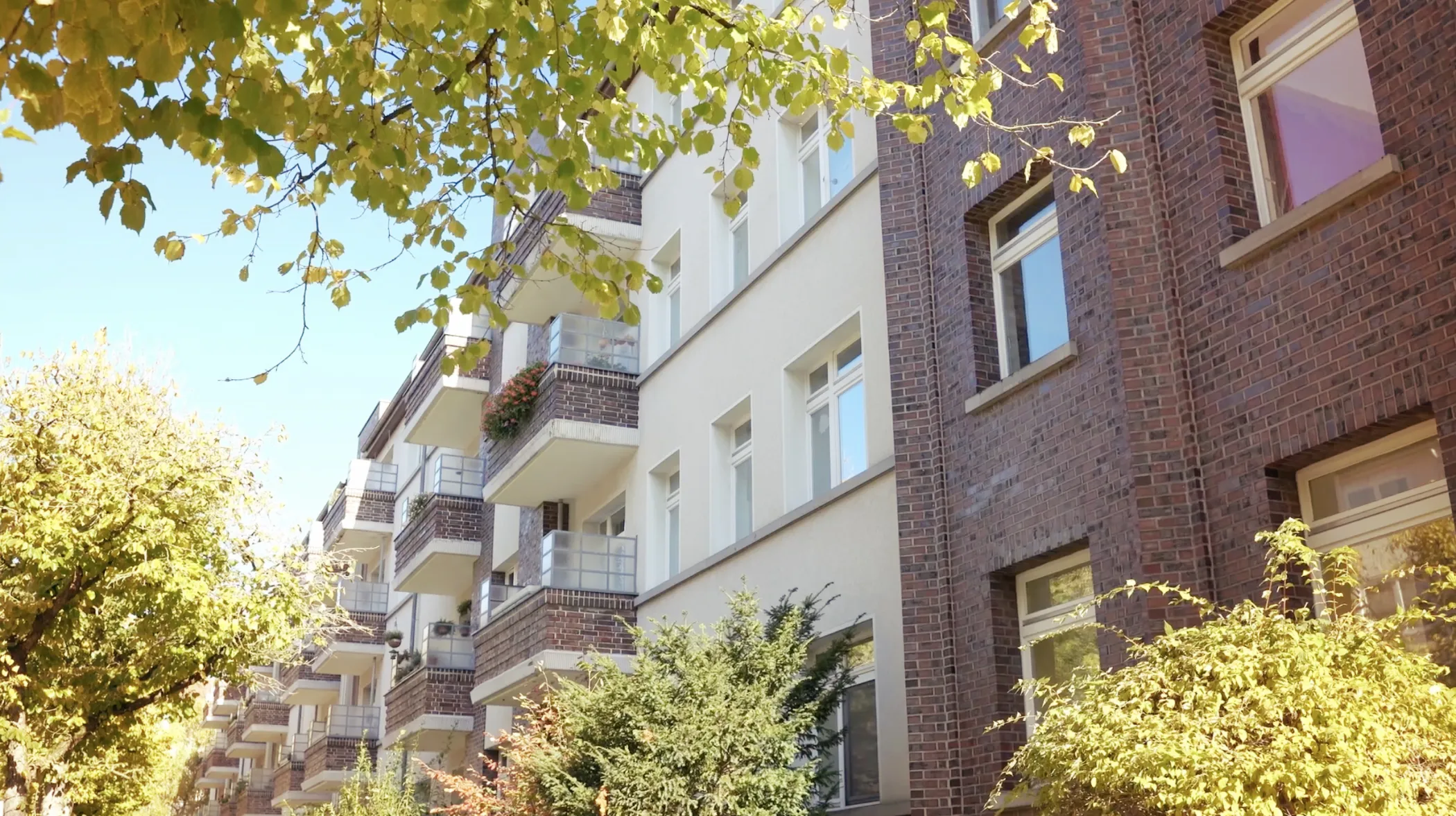 Ein Blick aus geringer Höhe auf Wohnhäuser mit Balkonen, umgeben von grünen, sonnenbeschienenen Bäumen.