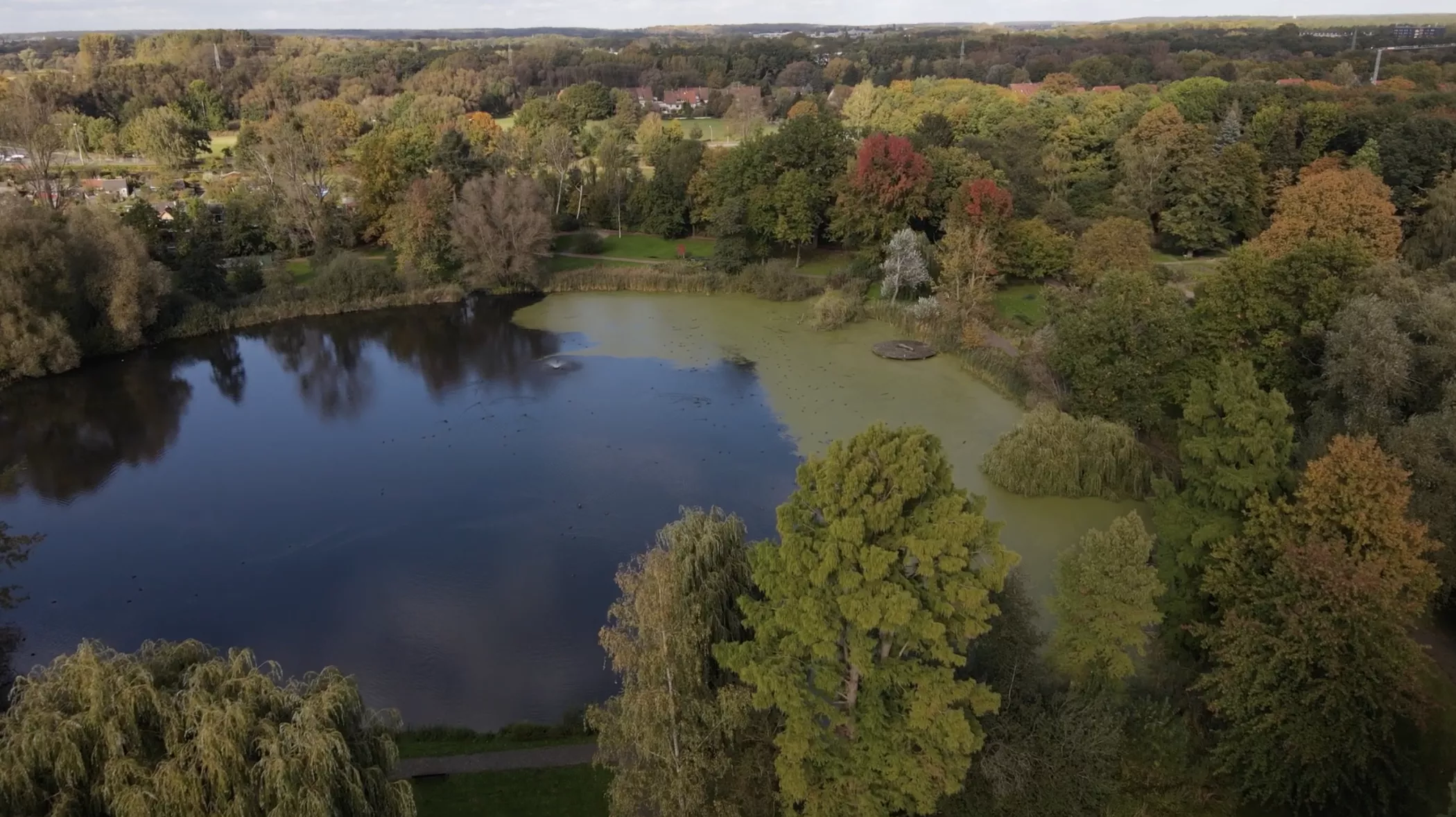 Aerial view of a pond, surrounded by trees with fall leaves, near a small town in the distance.