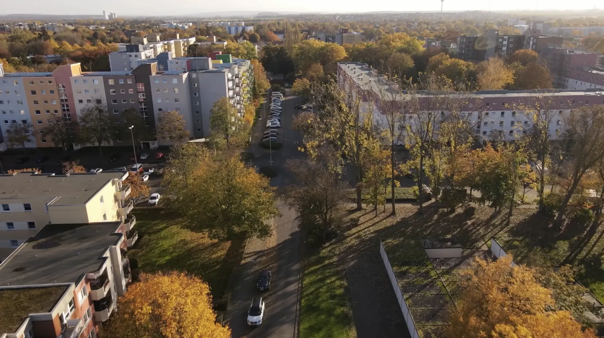 Luftaufnahme eines Wohnviertels mit Wohnhäusern, Bäumen mit Herbstlaub und entlang der Straße geparkten Autos.