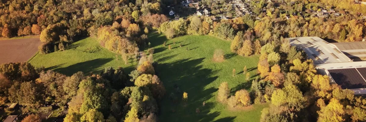 Eine Luftaufnahme eines Parks mit grünen Feldern, vereinzelten Bäumen und umliegenden Wohngebieten im Herbst.