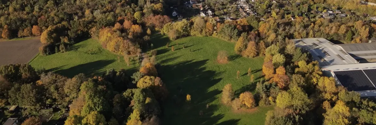 Aerial view of a green park with sparse trees and autumn colors, surrounded by residential buildings and dense forest.